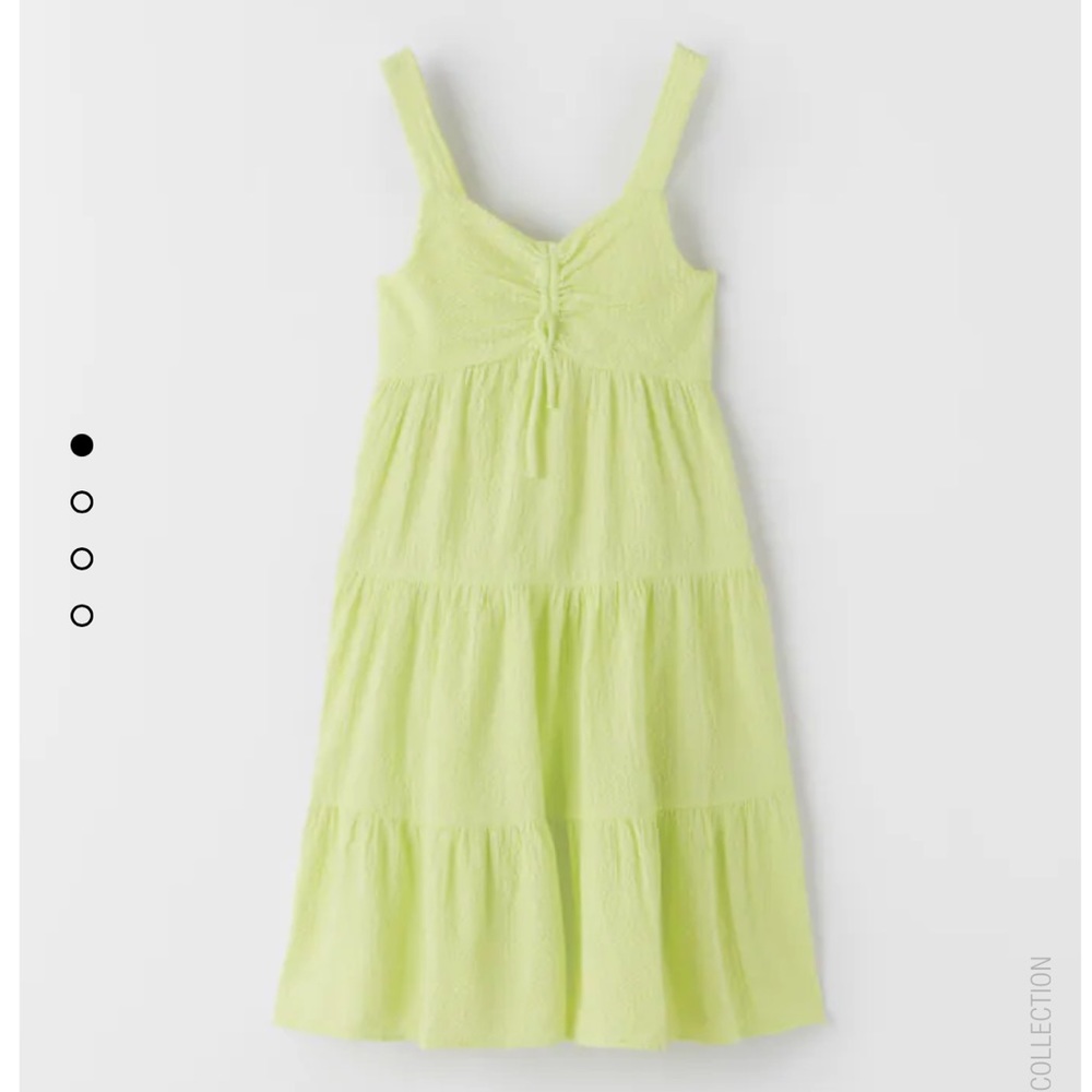 Zara Midi/Maxi Dress